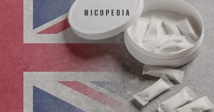 HYapp Uk, Graphic, Nicotine Alternates, Darts Partnership Deal Launch,  PDC, 2026